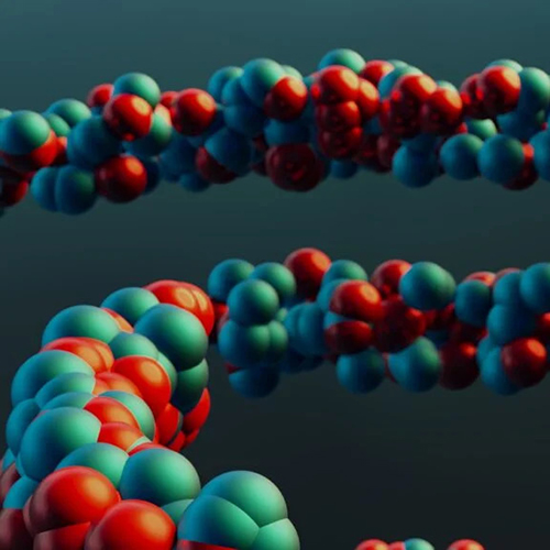 Particle-Pandit-image-v5